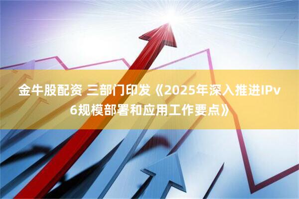 金牛股配资 三部门印发《2025年深入推进IPv6规模部署和应用工作要点》