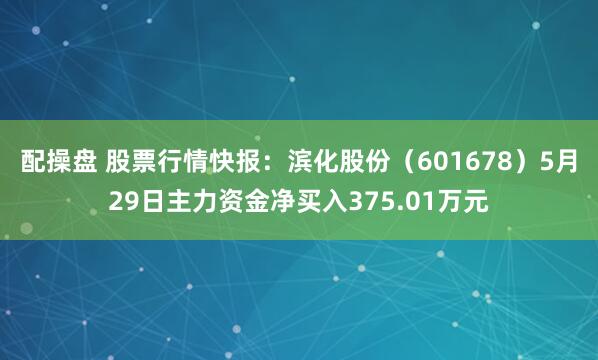配操盘 股票行情快报：滨化股份（601678）5月29日主力资金净买入375.01万元