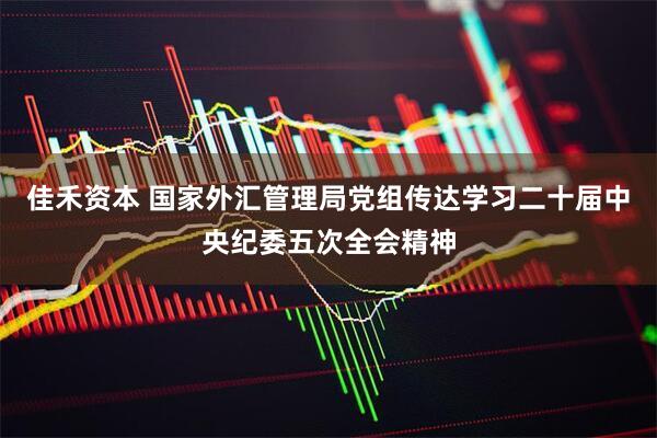 佳禾资本 国家外汇管理局党组传达学习二十届中央纪委五次全会精神