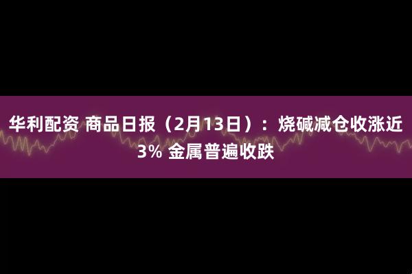 华利配资 商品日报（2月13日）：烧碱减仓收涨近3% 金属普遍收跌