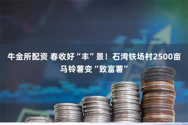 牛金所配资 春收好“丰”景！石湾铁场村2500亩马铃薯变“致富薯”